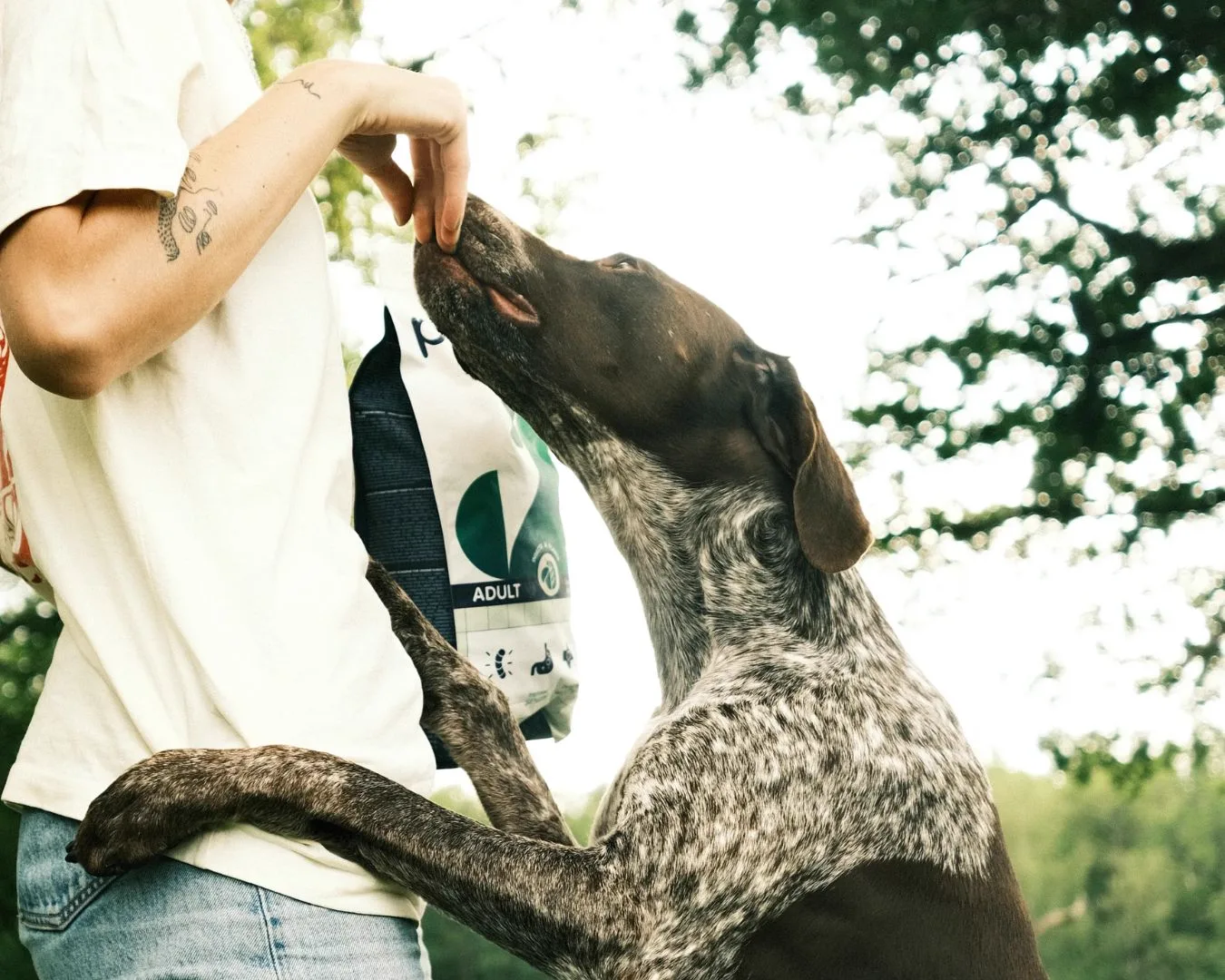 Dog reaching for Petgood food bag